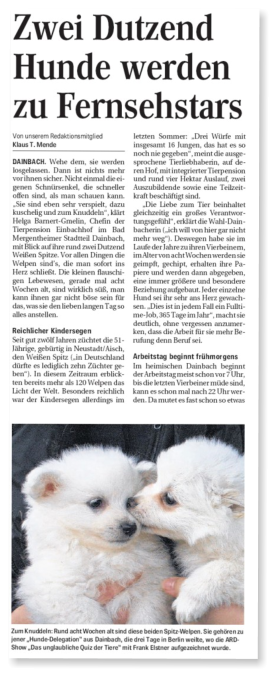 Hunde werden Fernsehstars