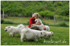 Unsere weißen Mittelspitze auf der Bachwiese