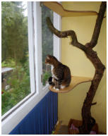 Terasse für unsere Katzen