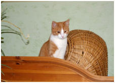 Gute Aussichten sind das hier