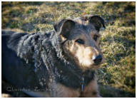 Ein Gast genießt die Morgensonne