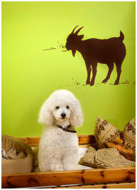 Urlaub auf dem Eindachhof