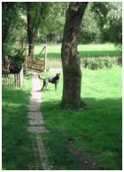 Jetzt geht´s auf die Bachwiese