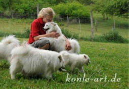 streicheln, kuscheln, verstehen