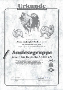 Auslesegruppe Yuma am Jungfernbach