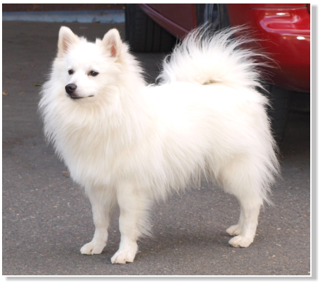 Juri am Jungfernbach