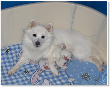 Layla am Jungfernbach