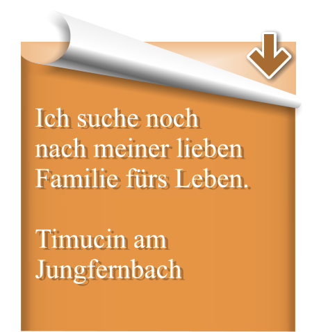 Ich suche noch nach meiner lieben Familie fürs Leben.  Timucin am Jungfernbach