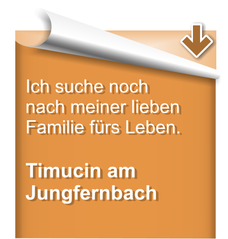 Ich suche noch nach meiner lieben Familie fürs Leben.  Timucin am Jungfernbach